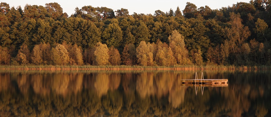 Arrangement Romantische Auszeit - Hotel Döllnsee-Schorfheide, Uckermark/Brandenburg bei Berlin