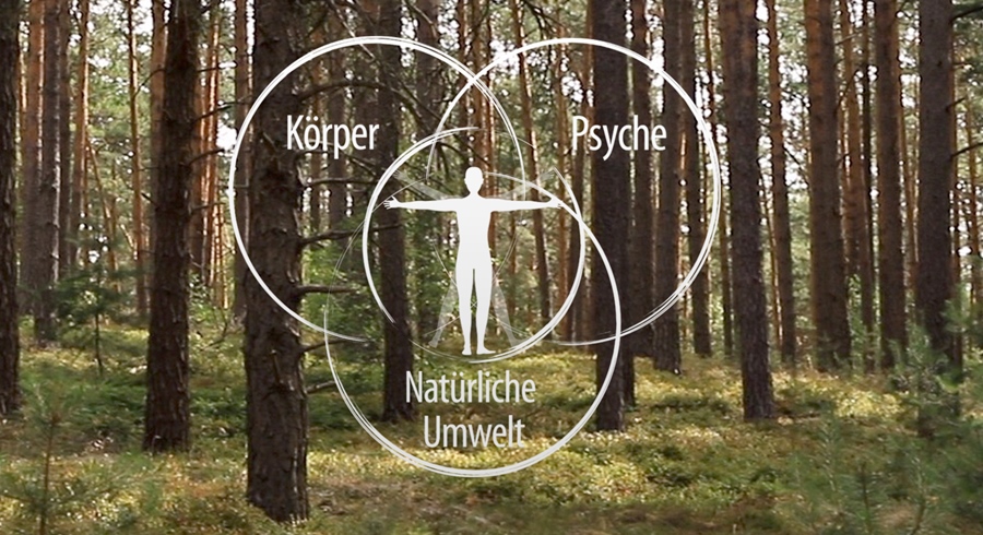 Waldbaden und meditatives Bogenschießen im Hotel Döllnsee-Schorfheide - Familienhotel, Wellness-Hotel und Tagungshotel in Brandenburg bei Berlin