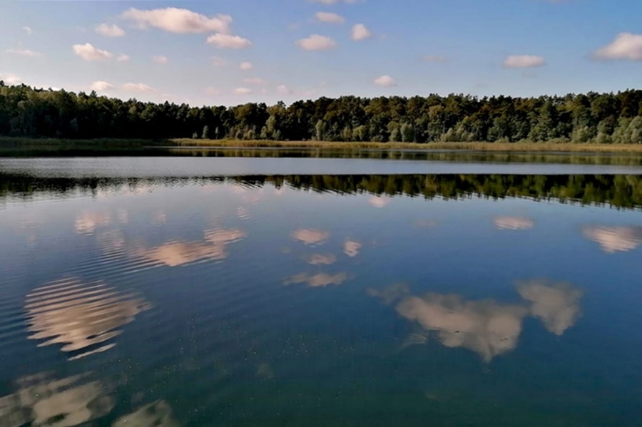 Tagungssaal im Hotel Döllnsee-Schorfheide - Familienhotel, Wellness-Hotel und Tagungshotel in Brandenburg bei Berlin
