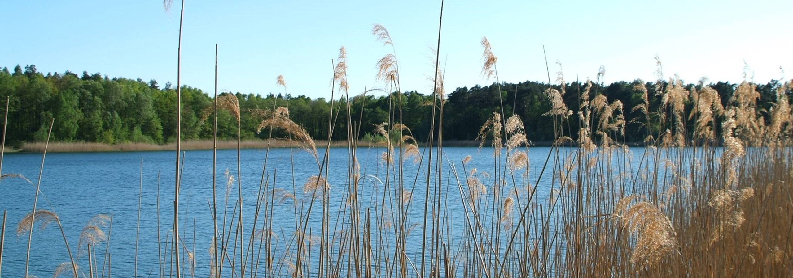 Hotel Döllnsee-Schorfheide - Familienhotel und Tagungshotel in Brandenburg bei Berlin