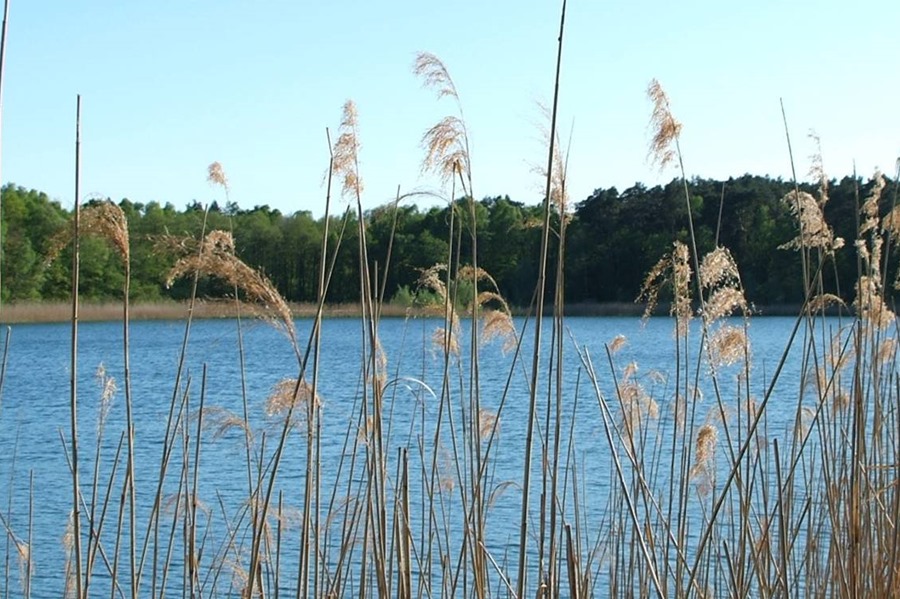 Hotel Döllnsee-Schorfheide - Familienhotel und Tagungshotel in Brandenburg bei Berlin